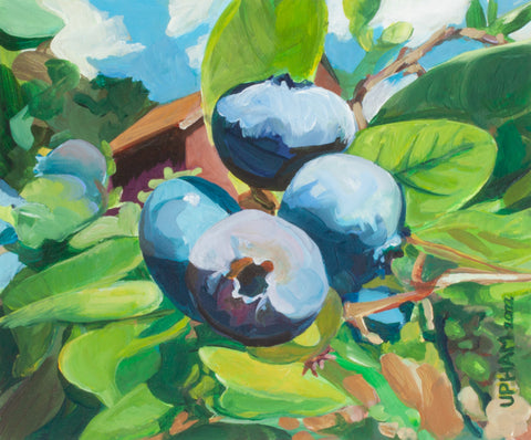 Gift Enclosures With Envelopes