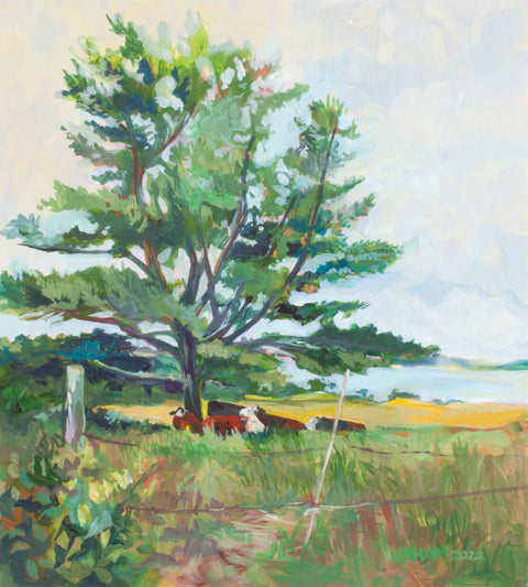 Art Cards With Envelopes