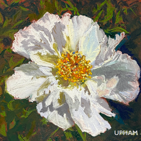 Small Notes – Set of 6