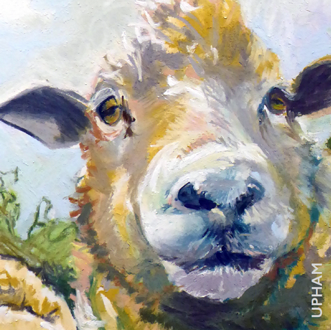 Small Notes – Set of 6