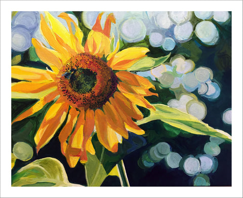 Sunflowers Boxed Set